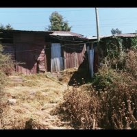 diapositiva07